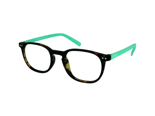 Leesbril I Need You +1.00 dpt Junior Selection bruin-turquoise