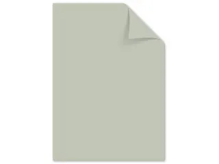 Papier Kangaro A4 160 grams pastel assorti pak a 50 vel - 7