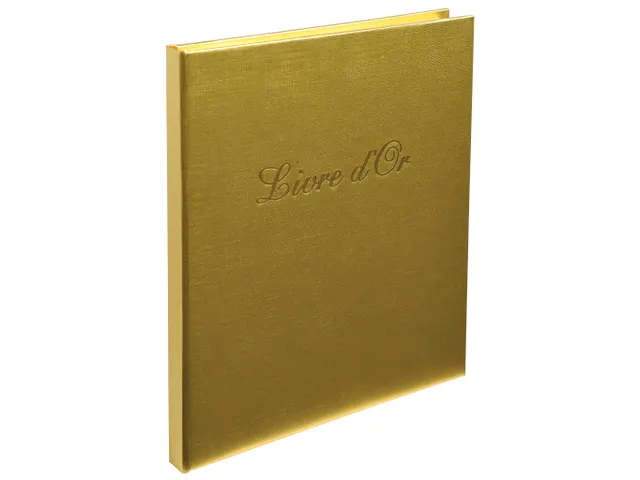 Gastenboek Shiny 21x19cm 140bl ass