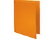 Pak van 250 inlegmappen SUPER 60 - 22x31cm-Oranje