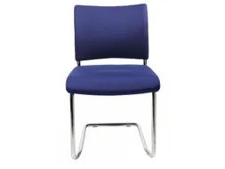 Bezoekersstoel Blauw Stof 450x480x450mm Verchroomd Sledeframe