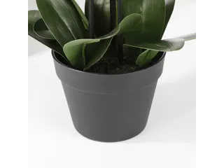 Kunstplant Mica Phalaenopsis orchidee wit in plastic pot 79x51cm - 4