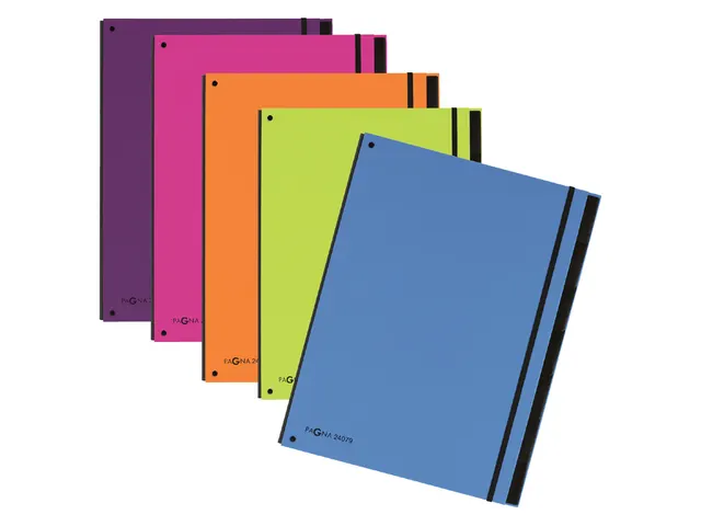 Sorteermap Pagna Trend 7 vaks A4 Pp Donkerroze