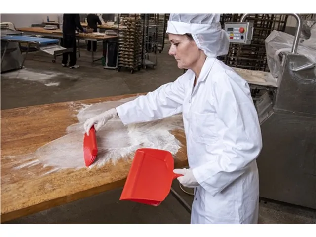 Stofblik Vikan 330x295mm rood kunststof