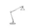 Bureaulamp LED MAULstudy Voet incl E27 lamp Zilver