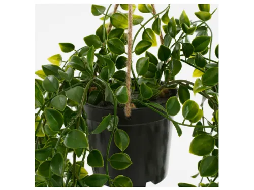 Kunstplant Mica Ficus hangend in pot groen 20x46cm