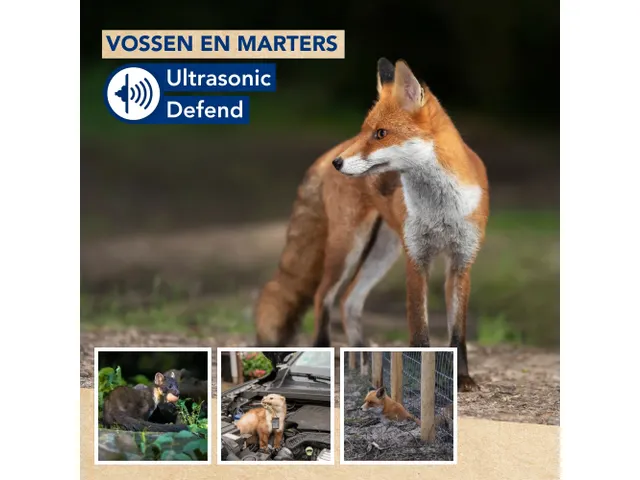 Répulsif animaux ultrason extérieur avec flash LED
