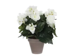 Kunstplant Mica Begonia wit in pot Stan grijs 25x30cm