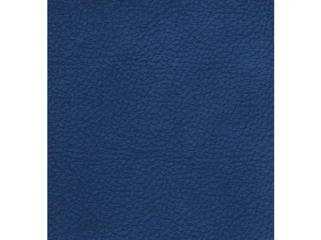 Sofa 2 places cuir véritable bleu