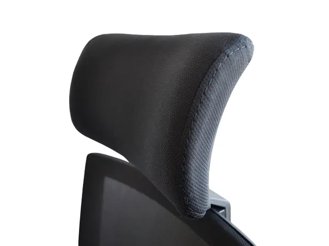 Bureaustoel Ergo met hoofdsteun Stof Zwart Netrug