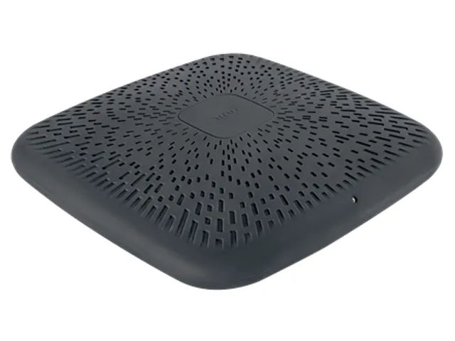 Wiebelkussen Leitz Ergo donkergrijs