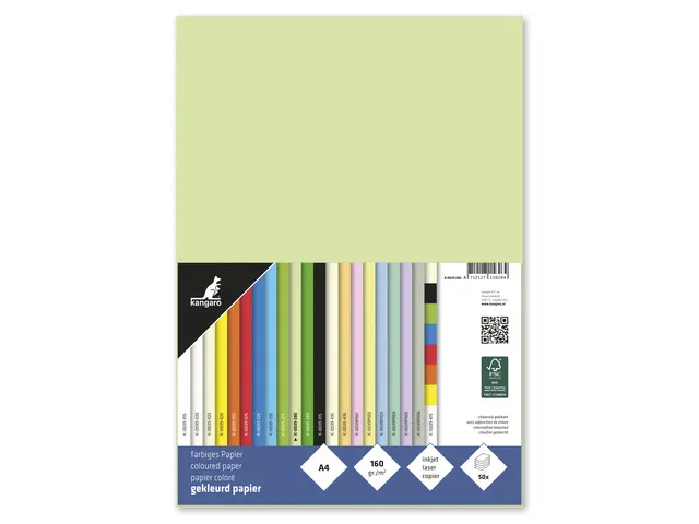 Papier Kangaro A4 160grs vert clair paquet de 50 feuilles