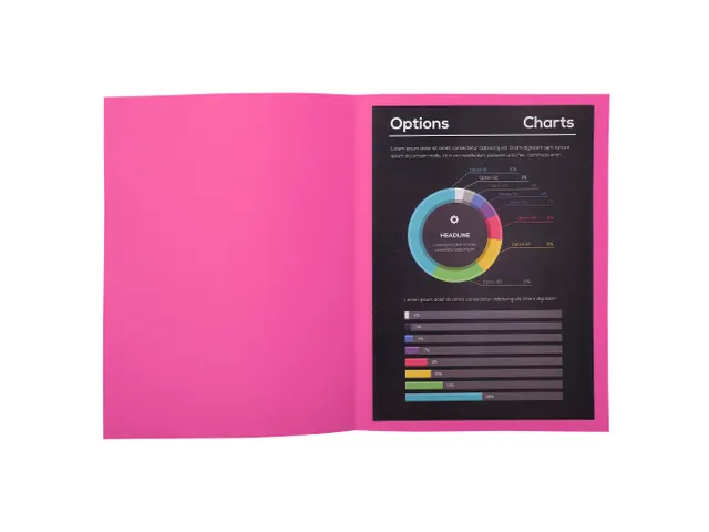 30 inlegmappen ROCK''S 80 22x31cm Roze