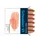 Inktpatronen Schneider pastel Abrikoos doos 6st.