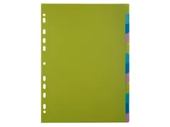 Tabbladen PP FOREVER YOUNG A4 12 tabs