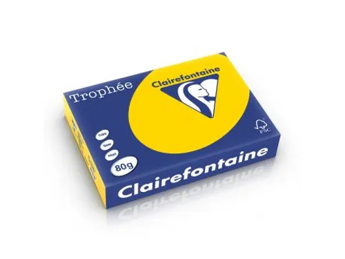 Trophée Pastel gekleurd papier A4 80 gram 500vel Goudgeel