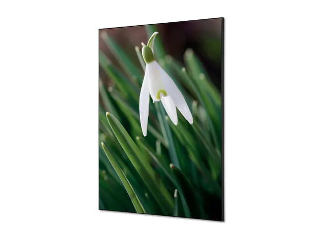 Wanddecoratie Textiel Set A1 Witte Bloem Sneeuwklokje