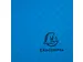 Klasseerdoos rug 40m m PP Forever Young