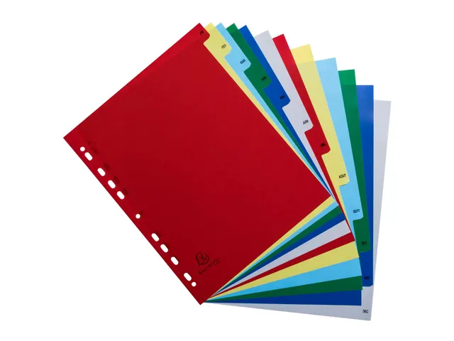 Bedrukte Tabbladen A4+ Jan-dec Assorti Pp 0.12mm 12-delig 11-gaats(FR)