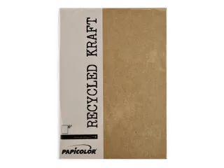 Kopieerpapier Papicolor A4 100gr 12 vel kraft bruin - 2
