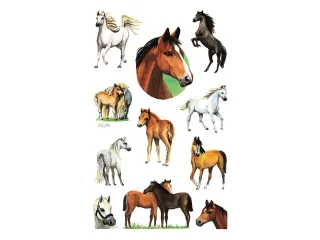 papieretiket Z-design Kids pakje a 2 vel paarden - 2