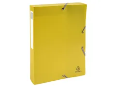 Klasseerdoos rug 40m m PP Forever Young