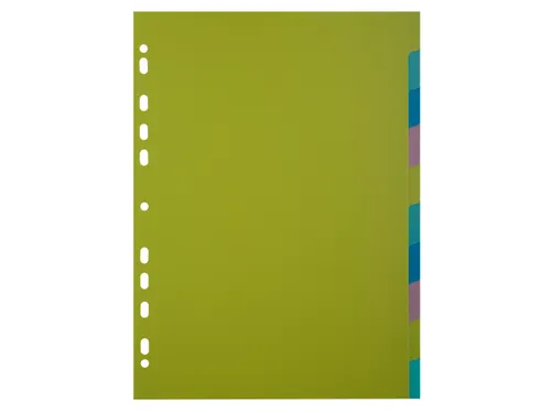 Tabbladen PP FOREVER YOUNG A4 10 tabs