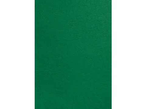 Voorblad Gbc A4 Lederlook 250 Gram Groen