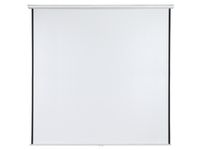 Projectiescherm Afmetingen 240x240 Cm Formaat 1:1 Handbediend