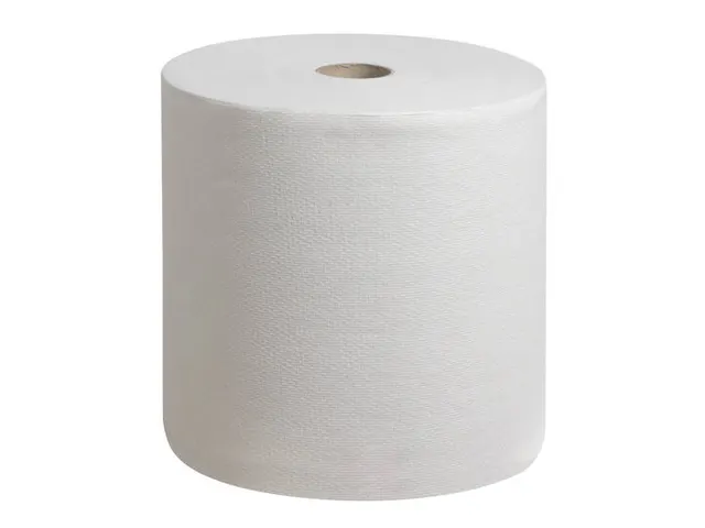 Scott 6665 Performance Handdoekrol Wit 1-Laags 6 rollen