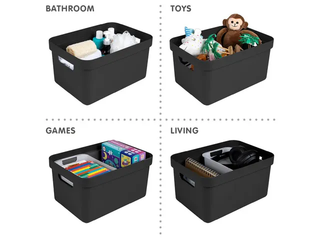 Sigma Home opbergbox 13L zwart - 35x24,6x18,3cm