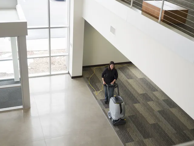 Tapijtreiniger Stofzuiger ES300