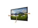 64.53 inch 4K UHD 3840 x 2160, IPS, 16:9, 350 cd/m² 1.07 Billon, 9 ms