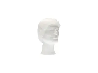 Haarnet CMT clip non-woven L 53cm PP wit 100 stuks - 4