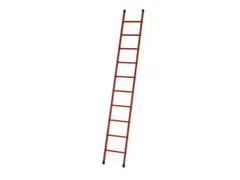 Aanlegladder Bomen/sporten Glasvezel L 2 99M 10Sporten