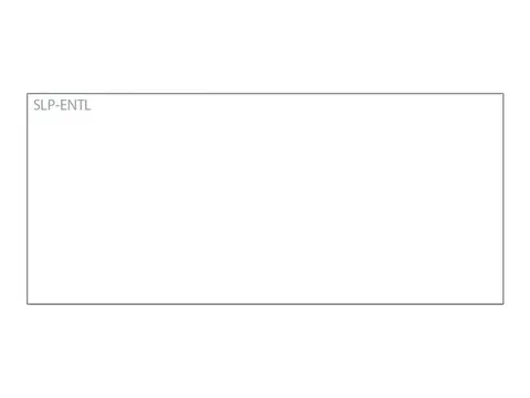 Seiko SLP-ENTL naamkaartjes 57x89mm