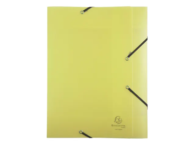 Boite de classement Exabox Dos 40mm Polypropylène 7/10e Chromaline pa
