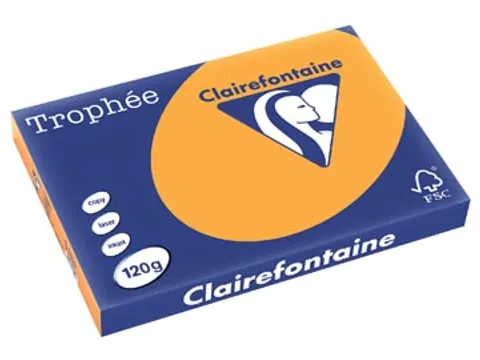 Trophée Pastel Gekleurd papier A3 120 gram 250 vel oranje