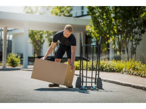 Steekwagen,Draagverm. 250Kg,Lucht-Banden,Inklapbare Steekplaat,Zwart