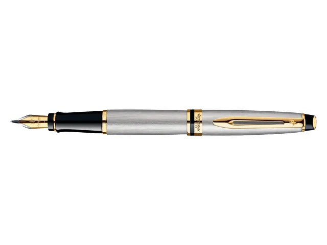 Vulpen Waterman Expert Stainless steel GT Medium Blauwe inkt