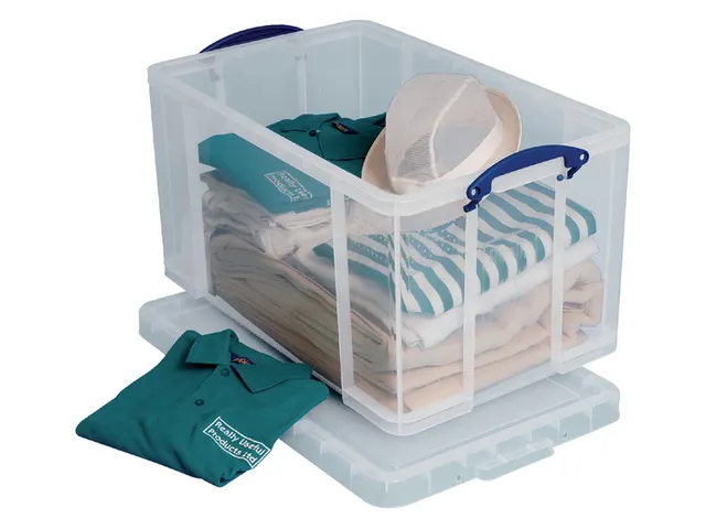 Opbergdoos 84 Liter Transparant Standaard