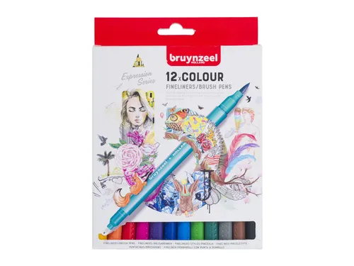 Duotip Bruynzeel Expression fineliner en brushpen assorti 12 stuks