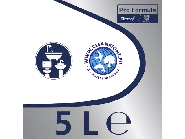 Cif Pro Formula 2-in-1 Sanitairreiniger doos 2x 5 liter