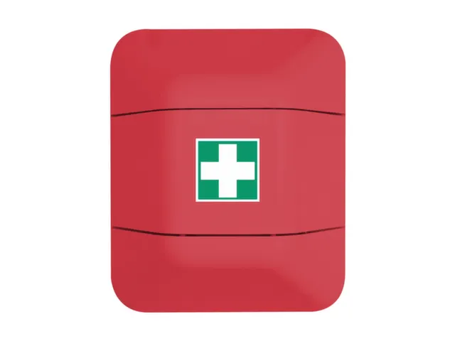 noodgevallenkast,HxBxD 528x434x225mm,leeg/v. 1x verbandkist,kunststof