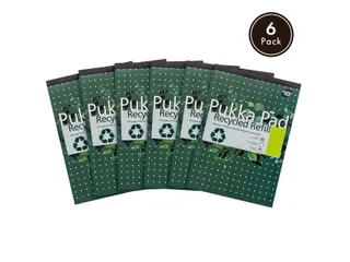 Schrijfblok Pukka Recycled A4 lijn 4-gaats 100 vel 80 gram groen - 8