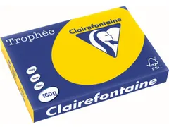 Trophée Pastel gekleurd papier A3 160 gram 250vel Goudgeel