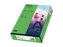 Inapa Tecno colors Gekleurd papier A4 Intens Groen 160 gram 250vel