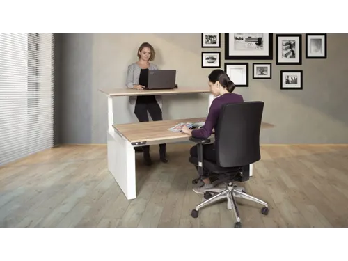 Wang voor Dextro Plus Duo bureau wit
