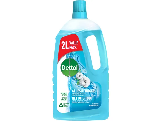 Allesreiniger Dettol Katoenfris 2L
