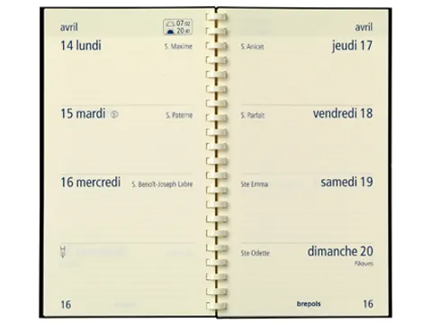 Optivision Franstalig, Palermo, zwart 2026